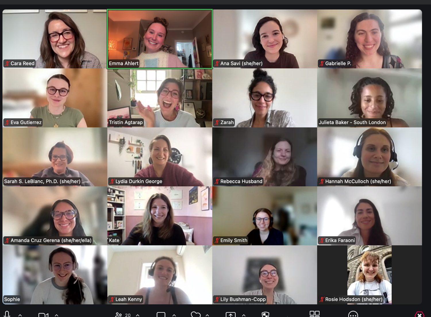 Elsie members learning together on a video call